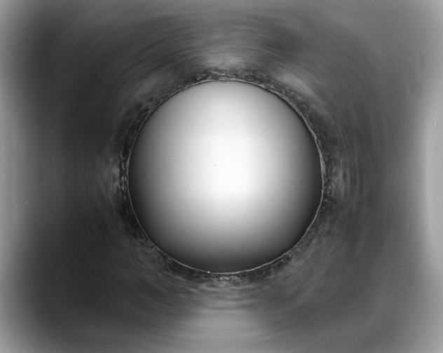X0000088680966200706071423