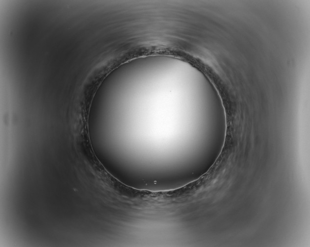 X0000088680967200706071423