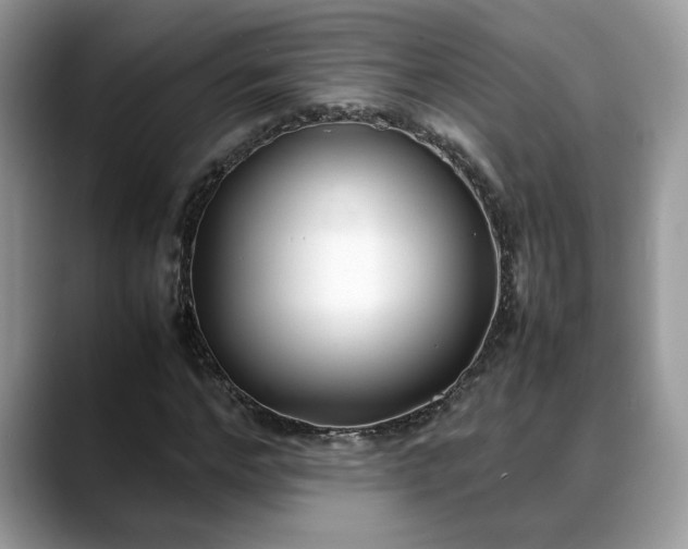 X0000088680968200706071423