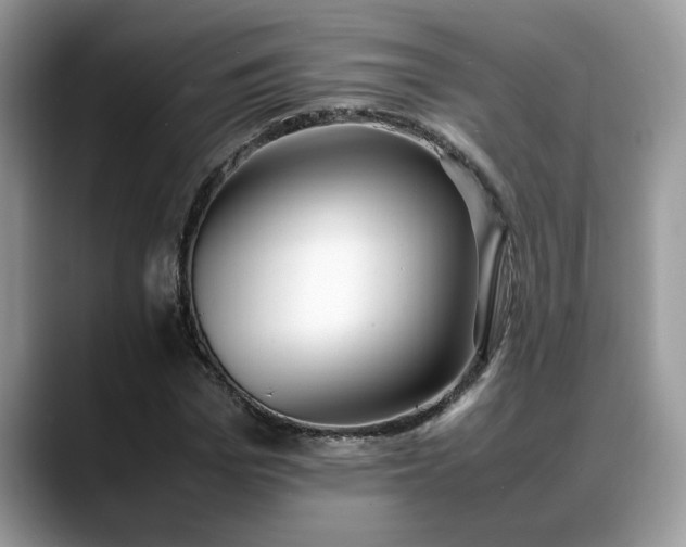 X0000088680969200706071423