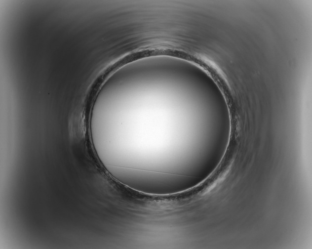 X0000088680973200706071423