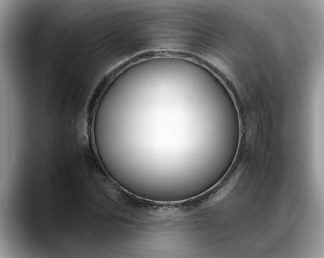 X0000088680974200706071423