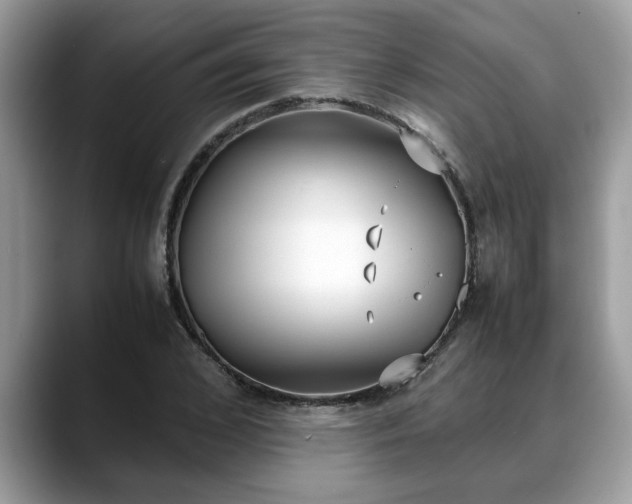 X0000088680976200706071423