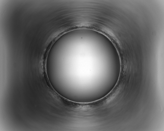 X0000088680978200706071423