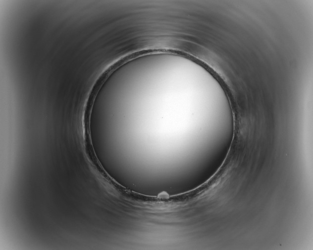 X0000088680980200706071423
