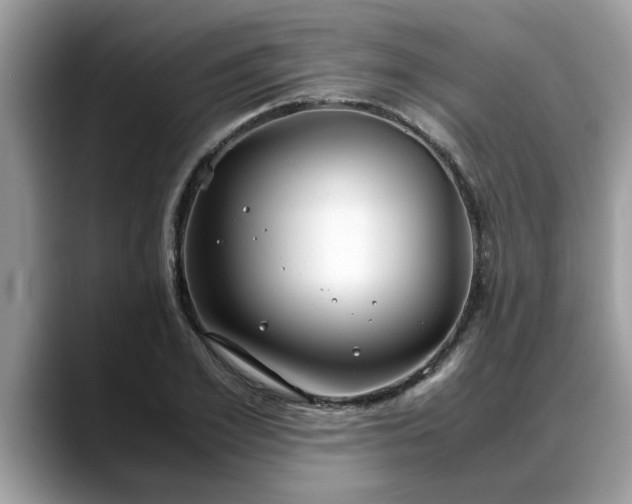 X0000088680981200706071423
