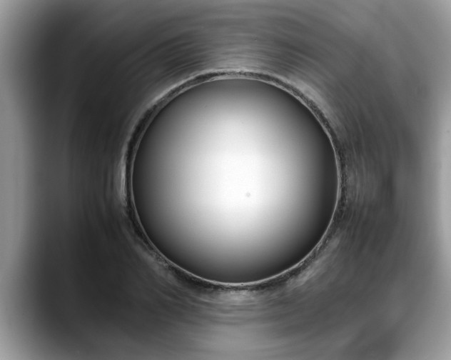 X0000088680982200706071423