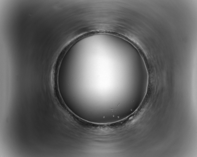 X0000088680983200706071423