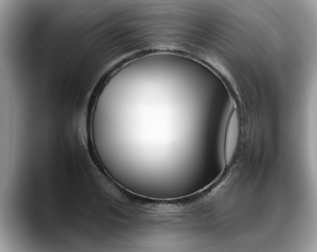 X0000088680984200706071423
