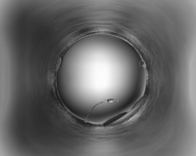 X0000088680985200706071423