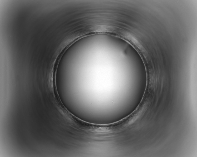 X0000088680986200706071423
