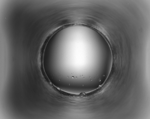X0000088680987200706071422