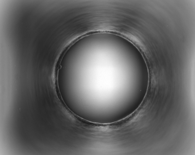 X0000088680990200706071422