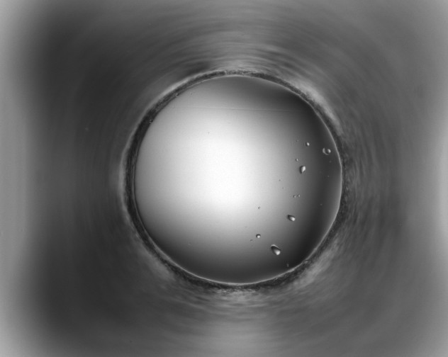 X0000088680991200706071422