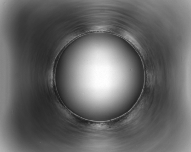 X0000088680994200706071422