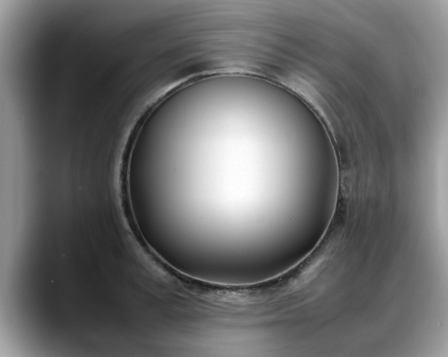 X0000088680995200706071422