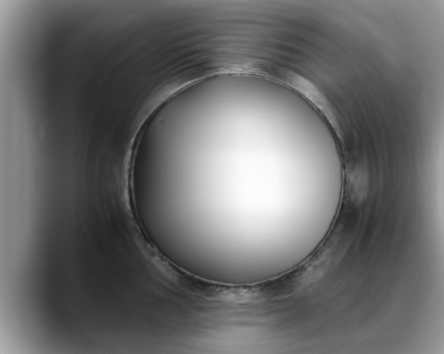 X0000088681002200706071422