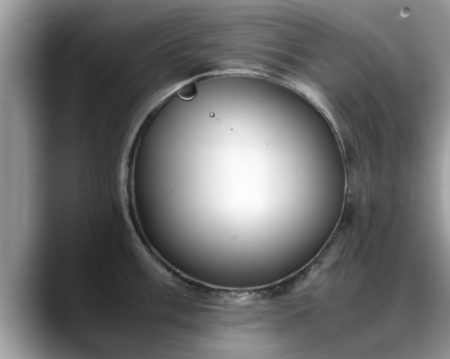 X0000088681003200706071422