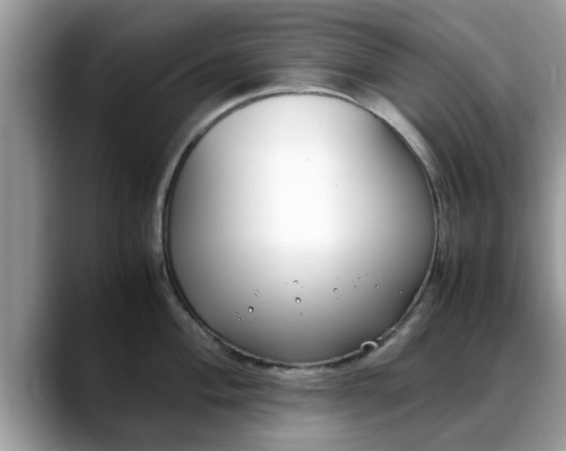 X0000088681004200706071422