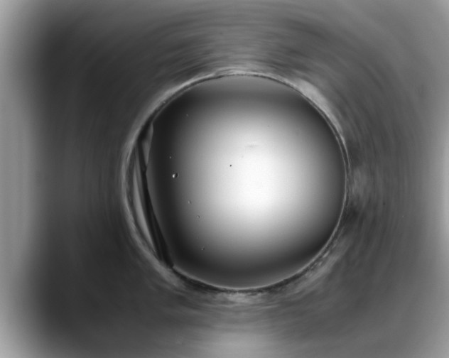 X0000088681005200706071422
