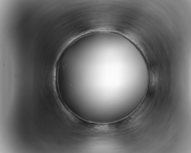 X0000088681006200706071422