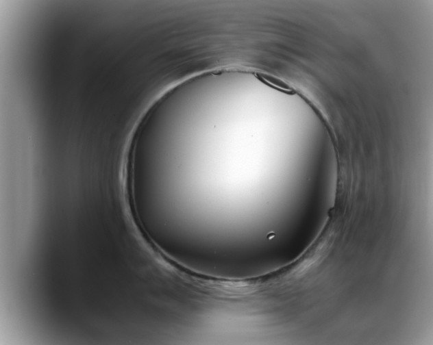 X0000088681007200706071422