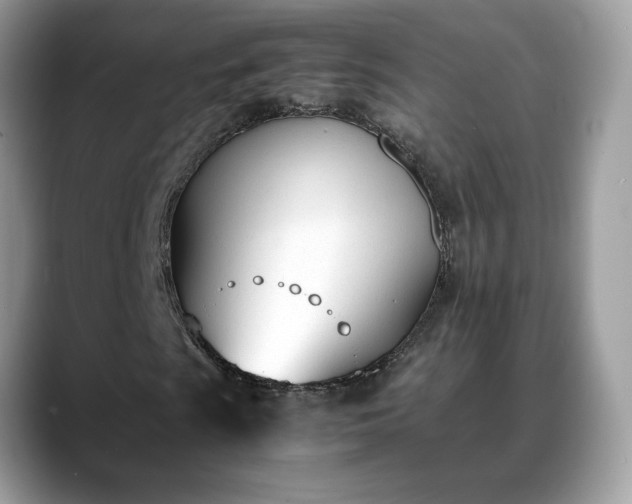 X0000088681009200706071422