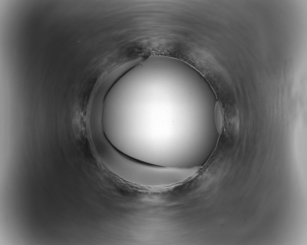 X0000088681010200706071422