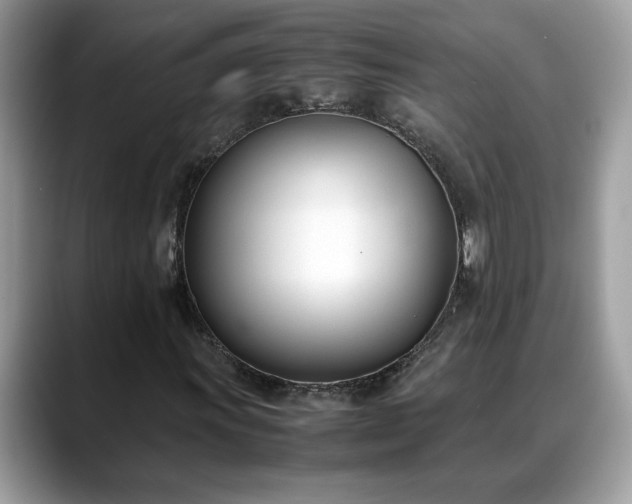 X0000088681011200706071422