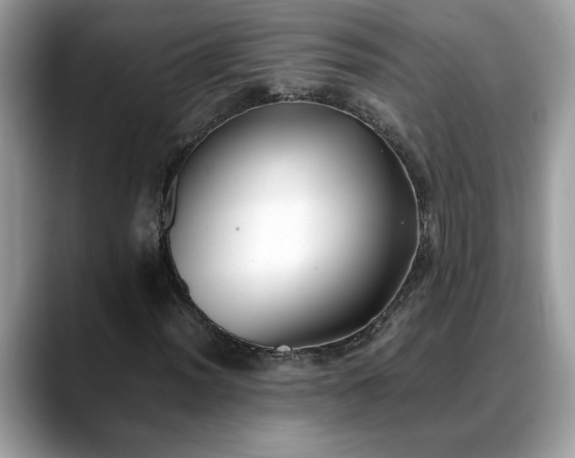 X0000088681012200706071422