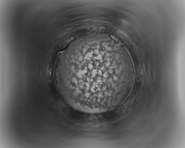 X0000088681013200706071422