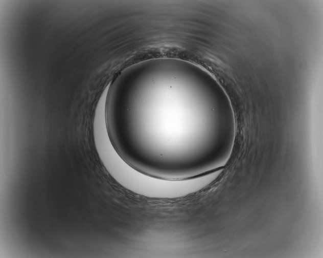 X0000088681014200706071422