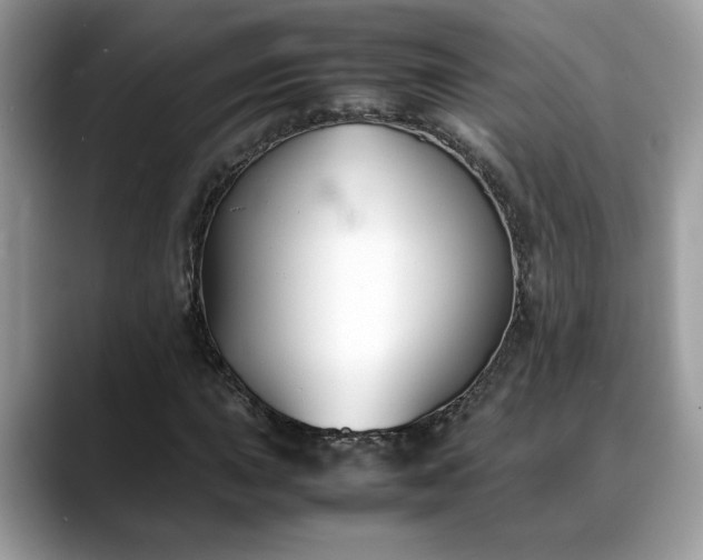 X0000088681015200706071422