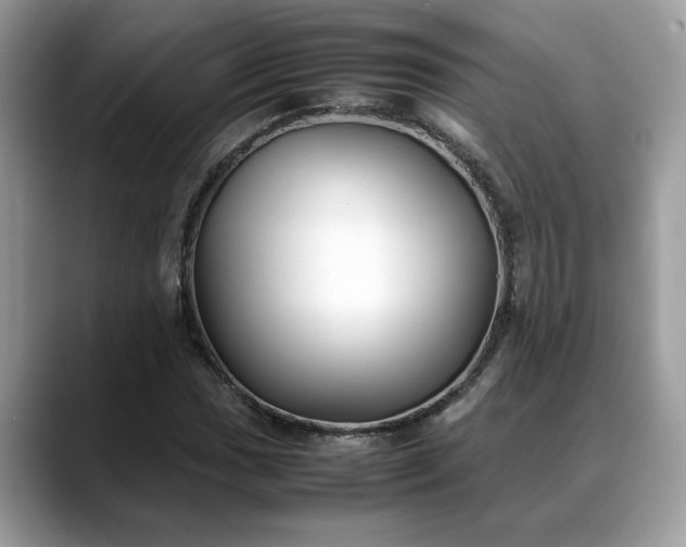 X0000088681017200706071422