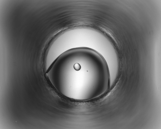 X0000088681018200706071422