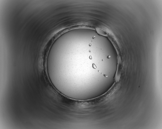 X0000088681019200706071422