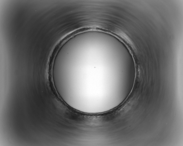 X0000088681020200706071422