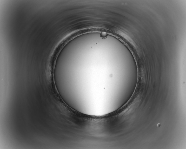X0000088681021200706071422