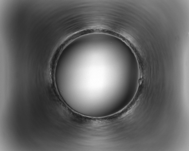 X0000088681022200706071422