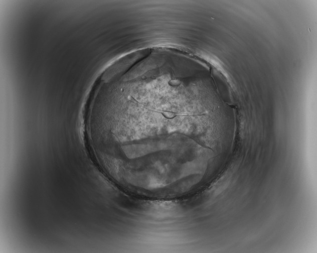 X0000088681024200706071422