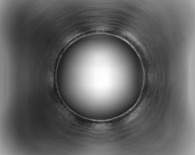 X0000088681025200706071422