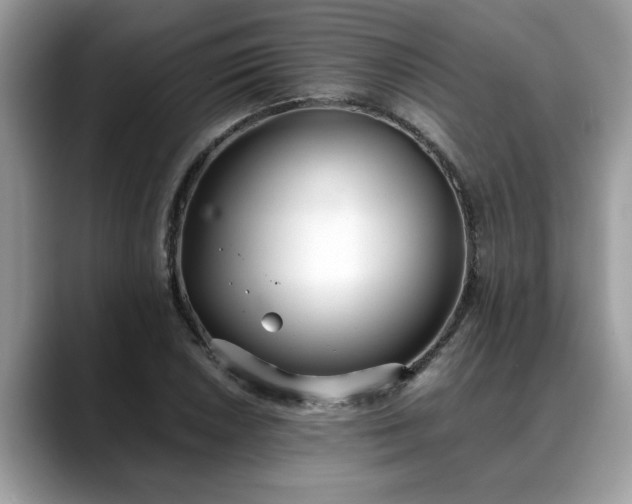 X0000088681026200706071422