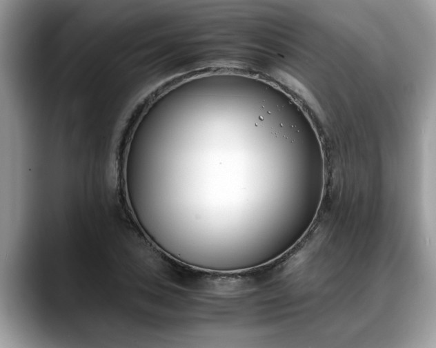 X0000088681027200706071422