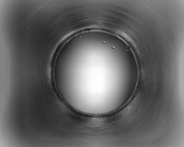 X0000088681029200706071422