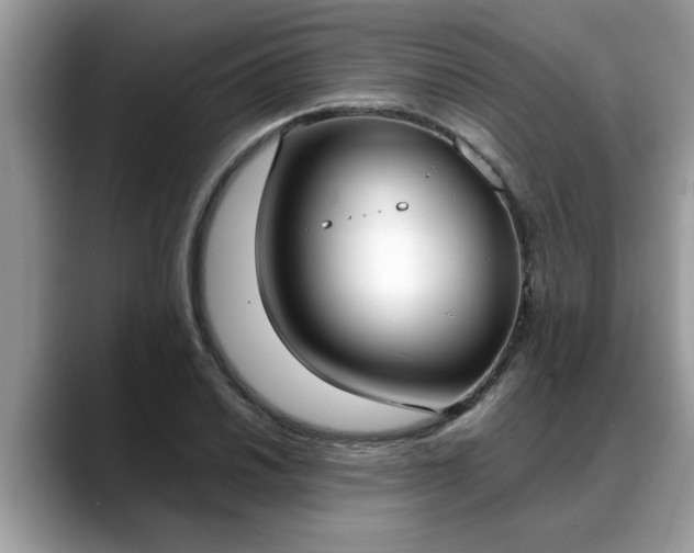 X0000088681030200706071422