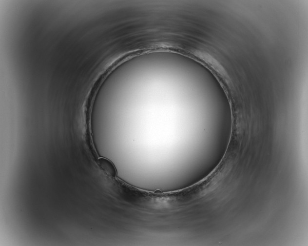 X0000088681031200706071422