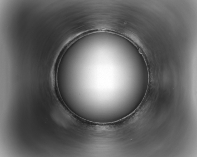 X0000088681032200706071422