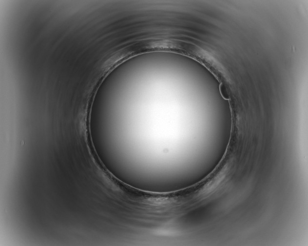 X0000088681033200706071422