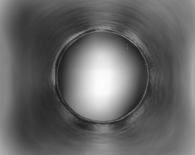 X0000088681036200706071422