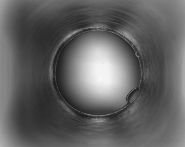 X0000088681037200706071422
